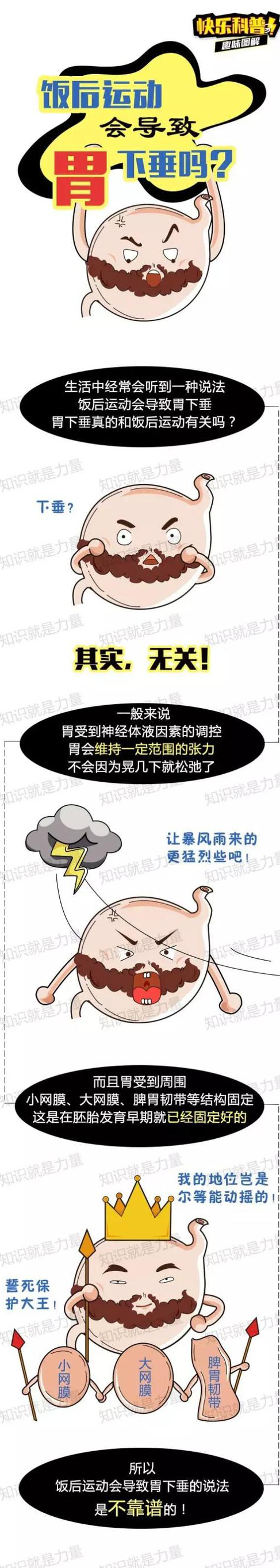 流言揭秘：饭后运动会导致胃下垂，这说法靠谱吗？ 胃下垂 运动 内脏_新浪科技_新浪网.png