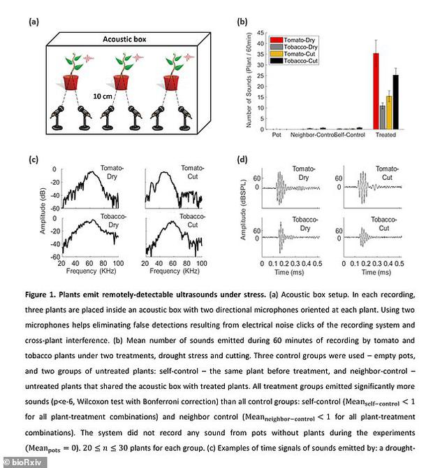 研究人员使用机器学习模型获得的数据来预测其他状况下植物可能释放的不同频率声音，这些状况包括：刮风、大雨天气等。