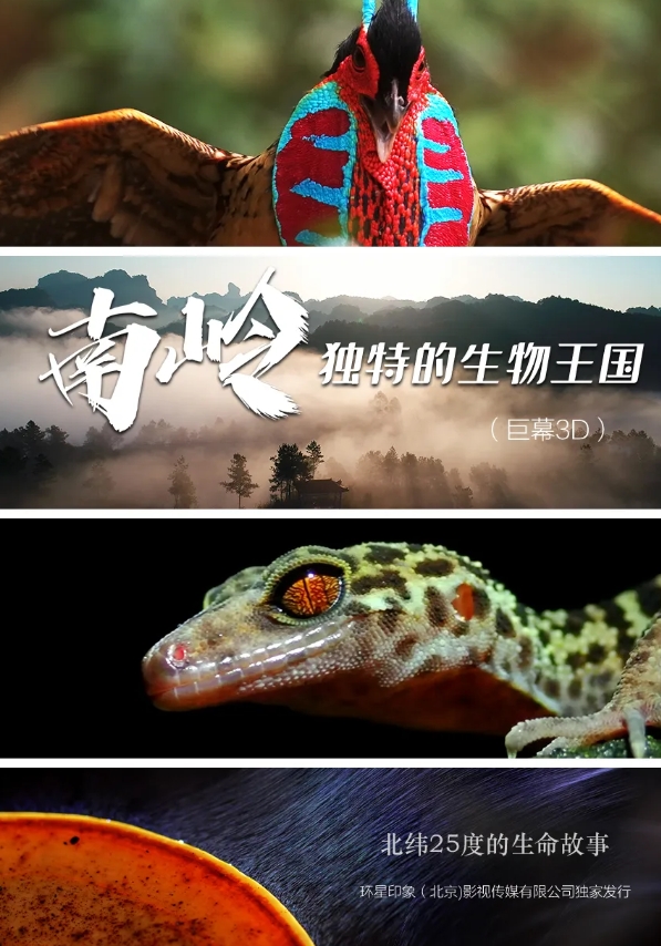 微信截图_20250822094039.png